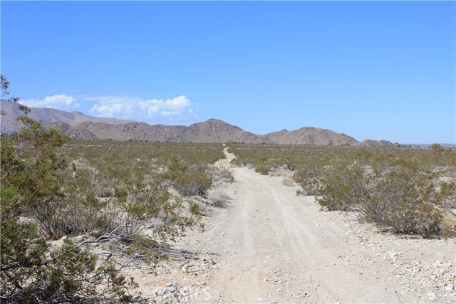 MLS #HD25172453 image #23