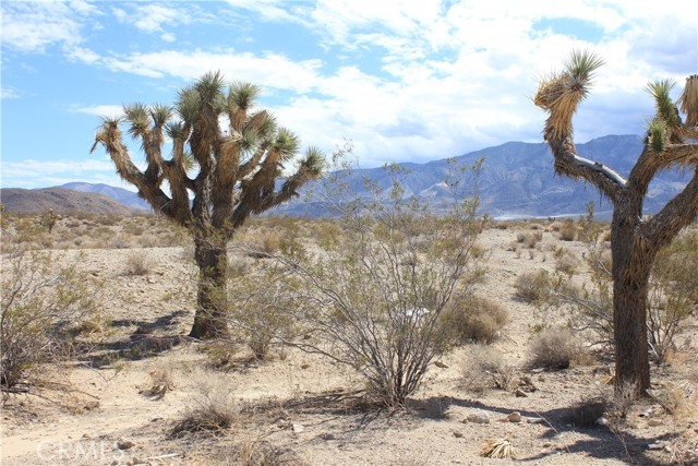 MLS #HD25172453 image #26