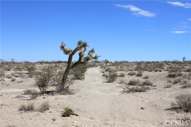 MLS #HD25172453 image #31