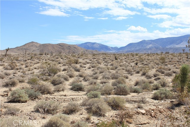 MLS #HD25172453 image #32