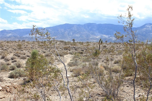 MLS #HD25172453 image #35