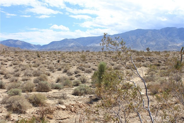 MLS #HD25172453 image #36