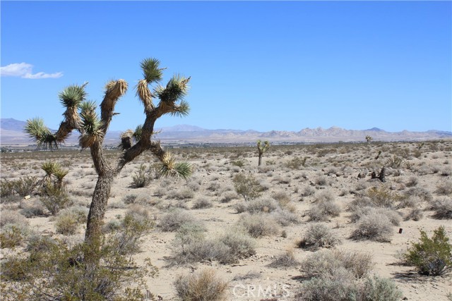 MLS #HD25172453 image #38