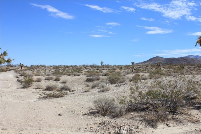 MLS #HD25172453 image #39