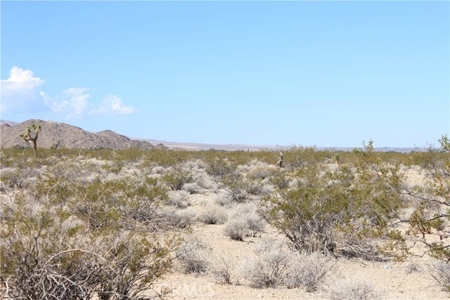 MLS #HD25172453 image #41