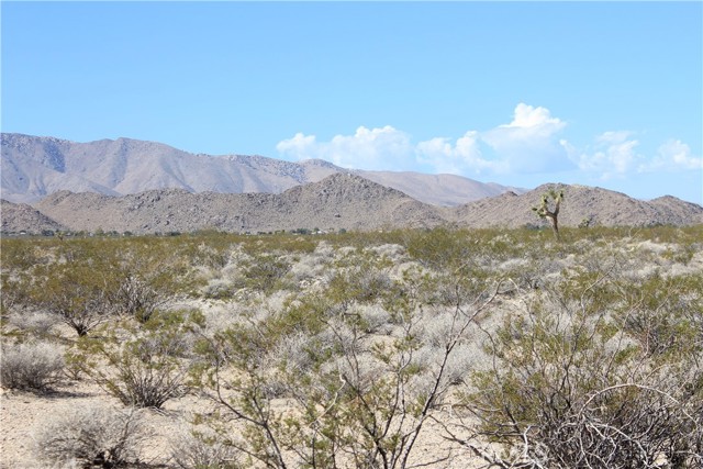 MLS #HD25172453 image #42