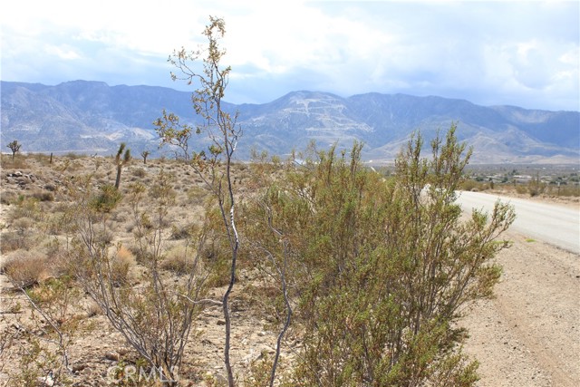 MLS #HD25172453 image #43