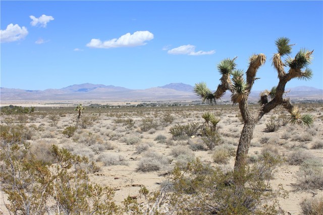 MLS #HD25172453 image #48