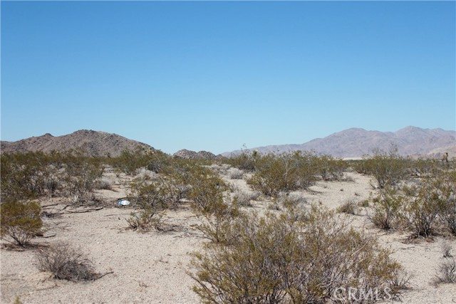 MLS #HD25172453 image #50