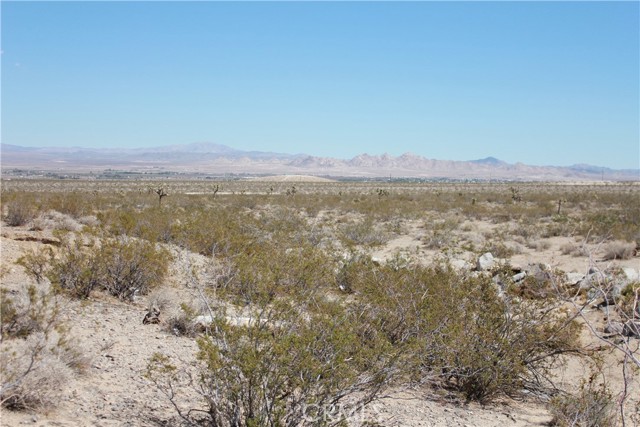 MLS #HD25172453 image #51