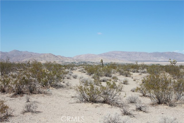 MLS #HD25172453 image #57