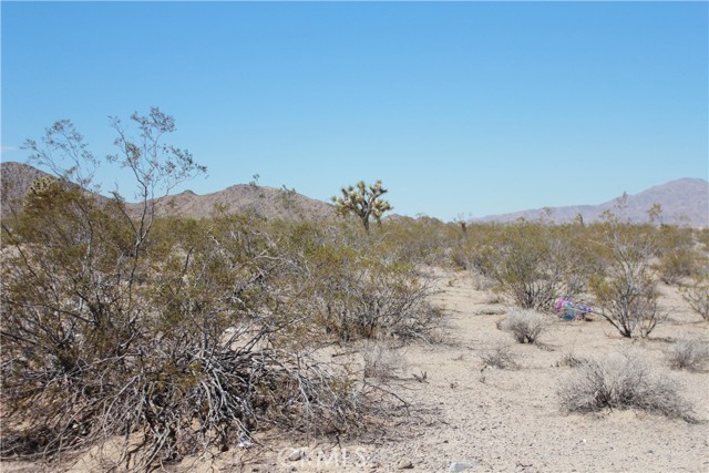 MLS #HD25172453 image #59