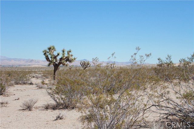 MLS #HD25172453 image #60