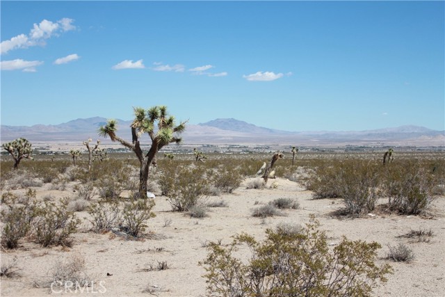 MLS #HD25172453 image #61