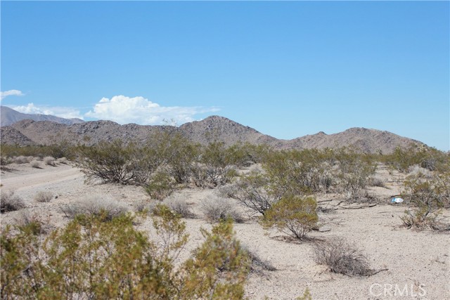 MLS #HD25172453 image #62