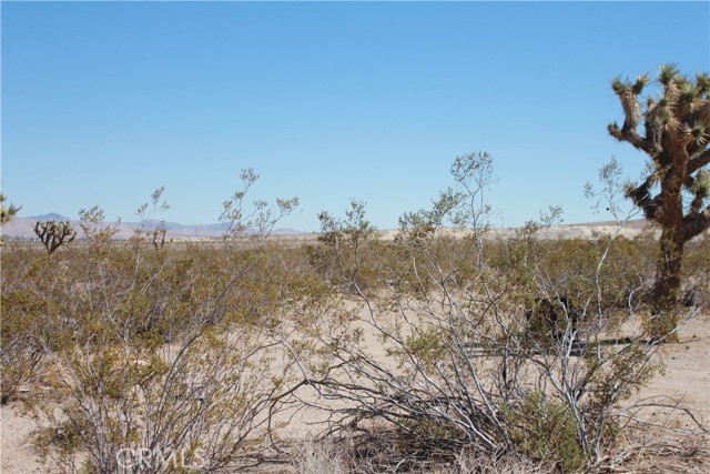 MLS #HD25172453 image #63