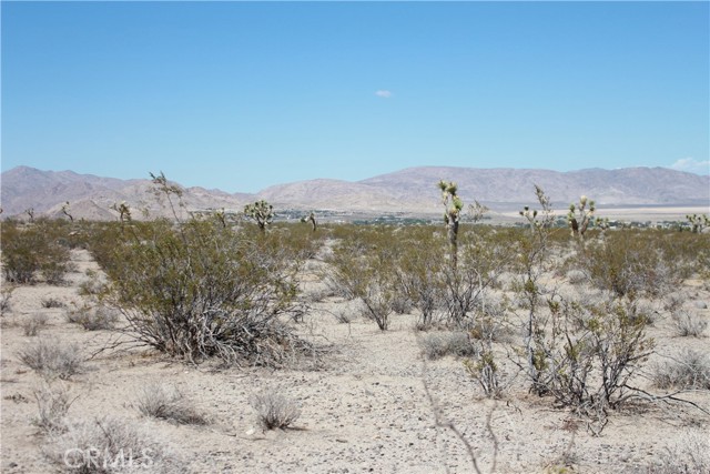 MLS #HD25172453 image #66