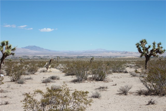 MLS #HD25172453 image #70