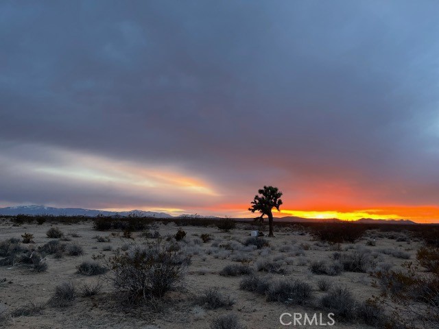 MLS #HD25179041 image #0