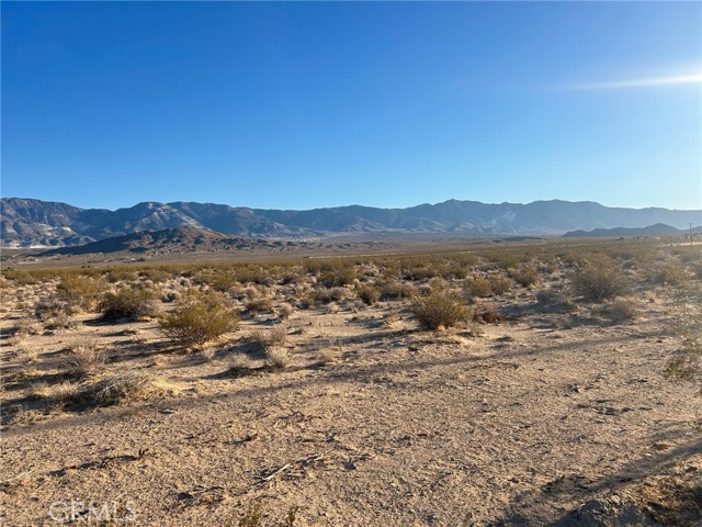 MLS #HD25186786 image #4