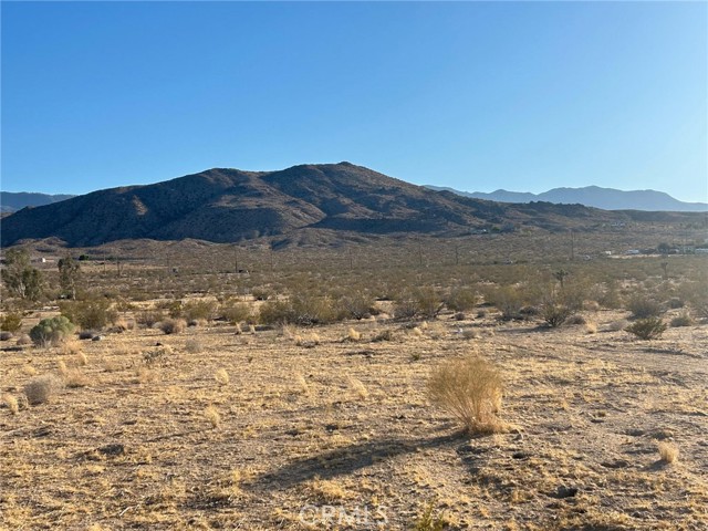 MLS #HD25186786 image #6