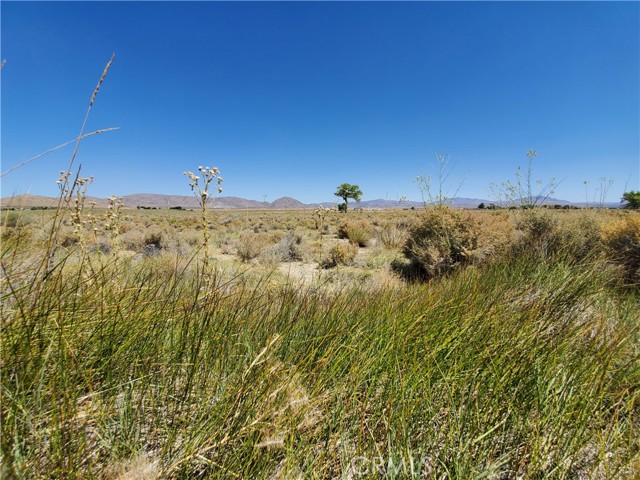 MLS #HD25199126 image #10