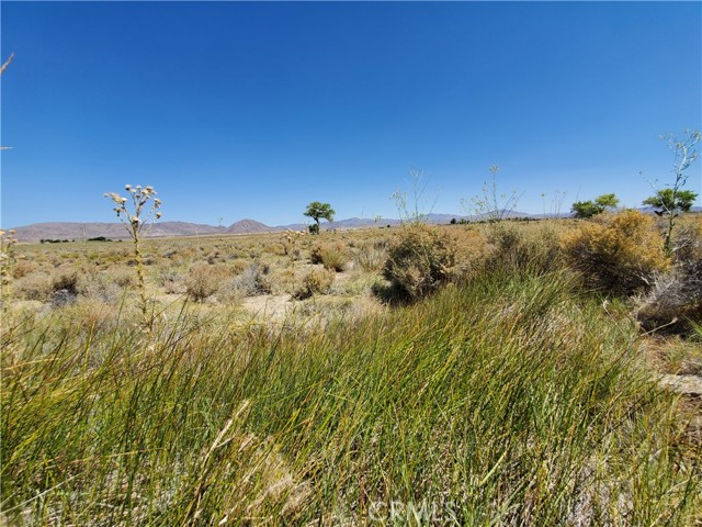 MLS #HD25199126 image #11