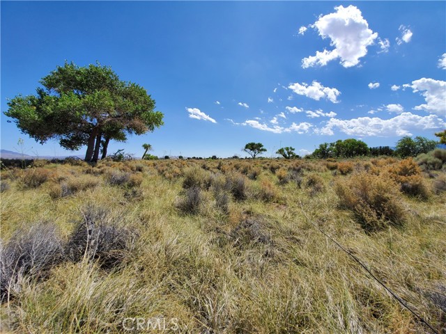 MLS #HD25199126 image #12