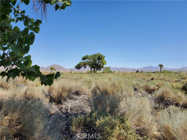 MLS #HD25199126 image #13