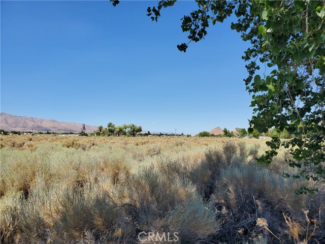 MLS #HD25199126 image #14