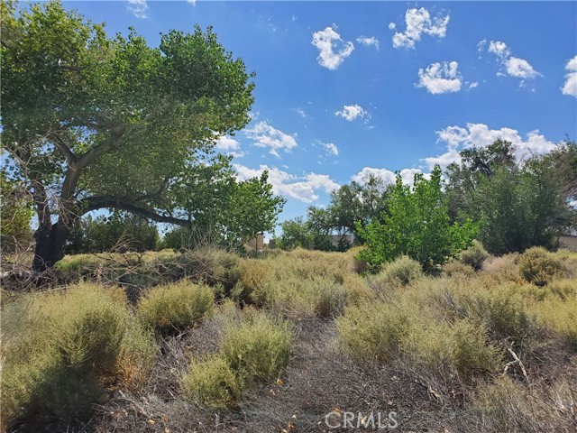 MLS #HD25199126 image #15