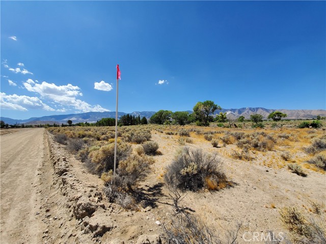 MLS #HD25199126 image #5