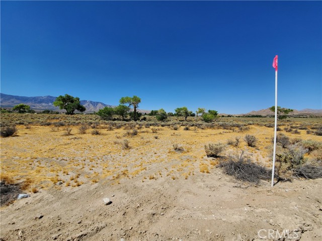 MLS #HD25199126 image #6