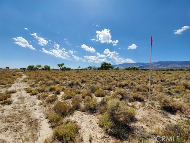 MLS #HD25199126 image #8