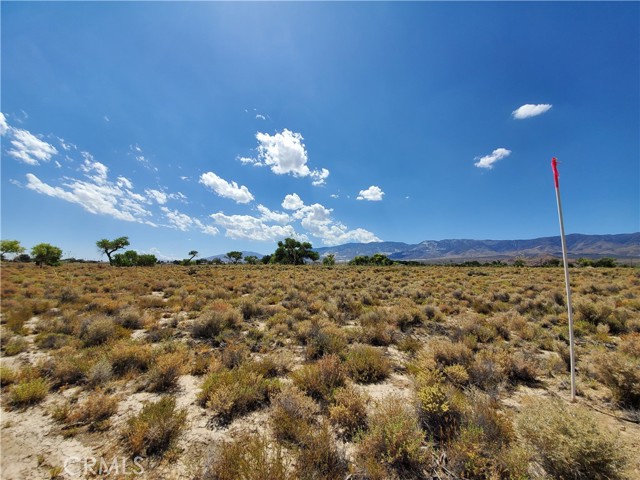 MLS #HD25199126 image #9