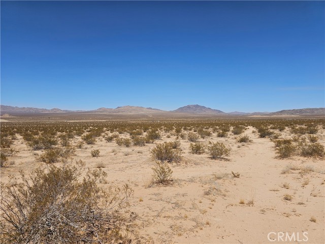 MLS #HD25216149 image #4