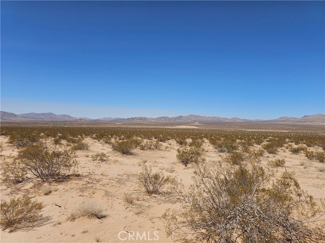 MLS #HD25216149 image #5