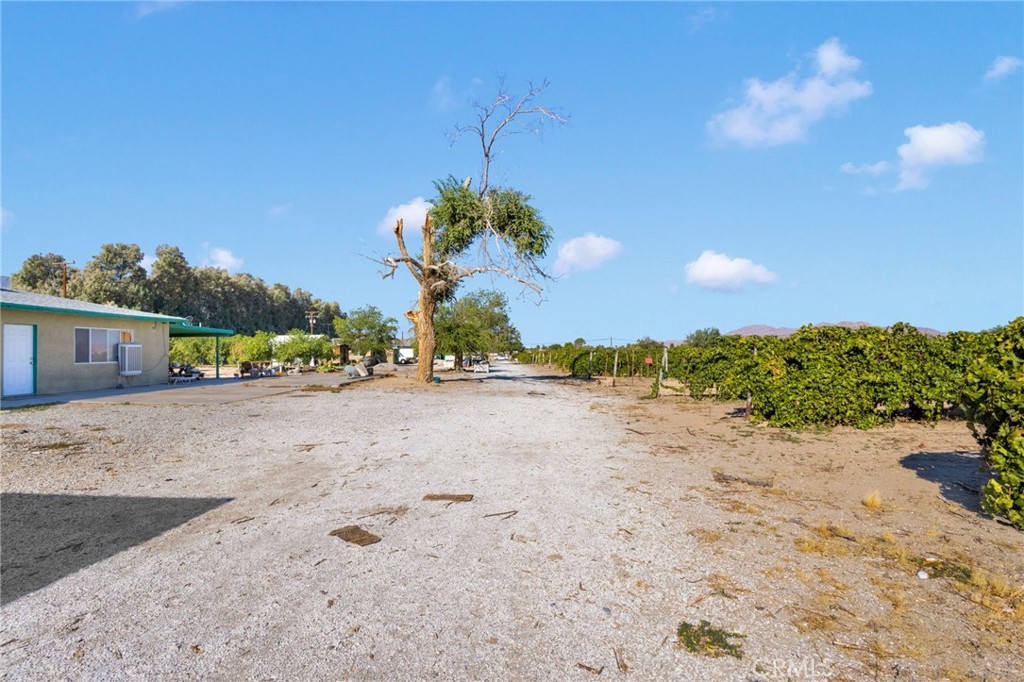 MLS #HD25219024 image #25