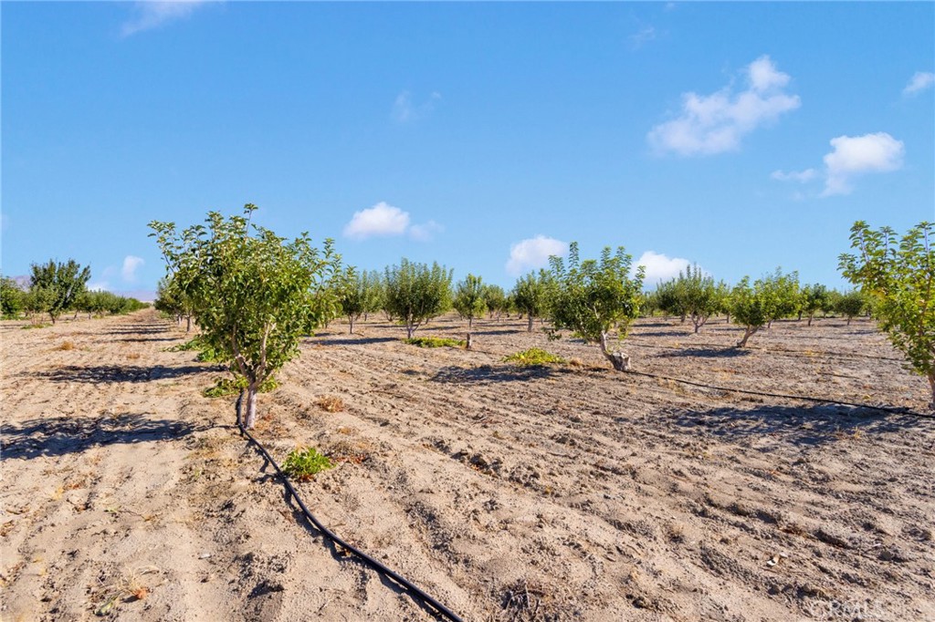 MLS #HD25219024 image #26