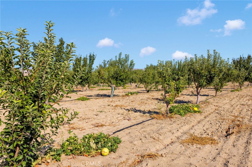 MLS #HD25219024 image #27