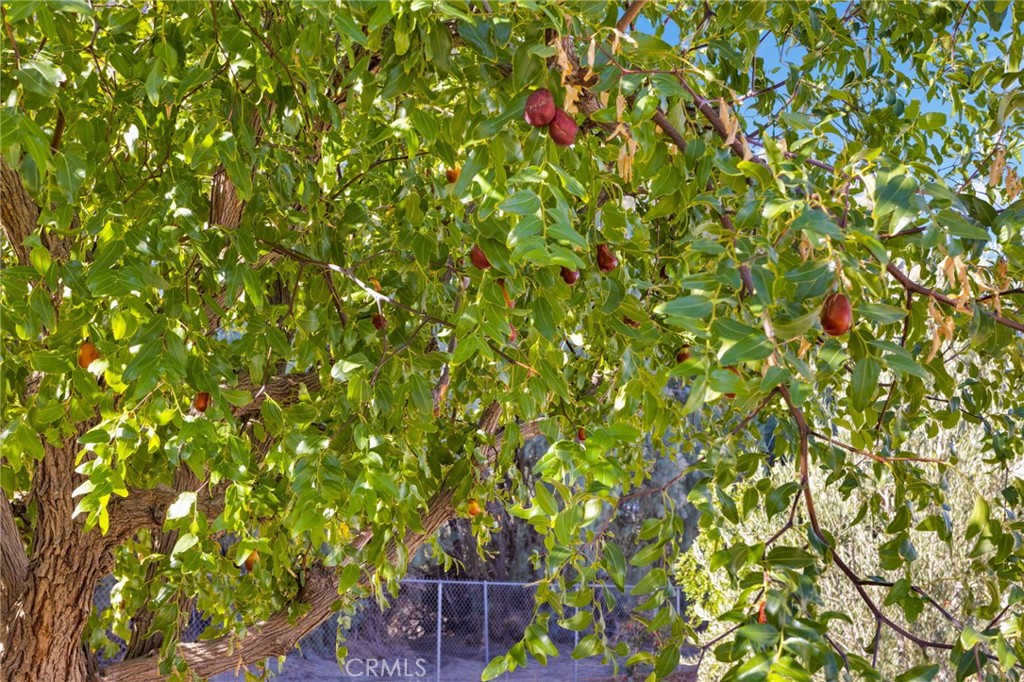 MLS #HD25219024 image #28