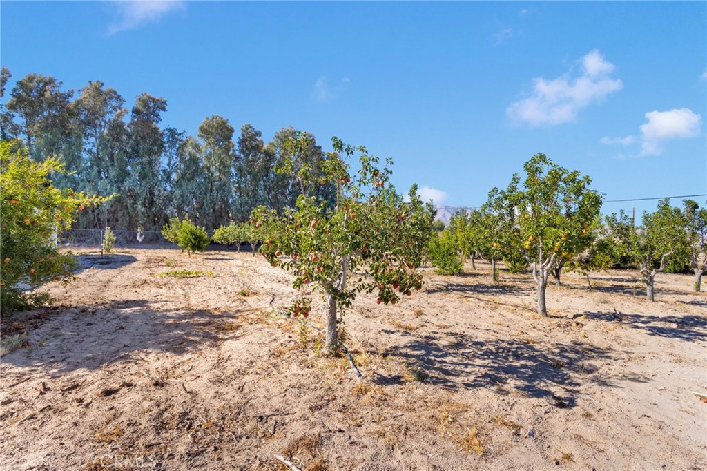 MLS #HD25219024 image #31