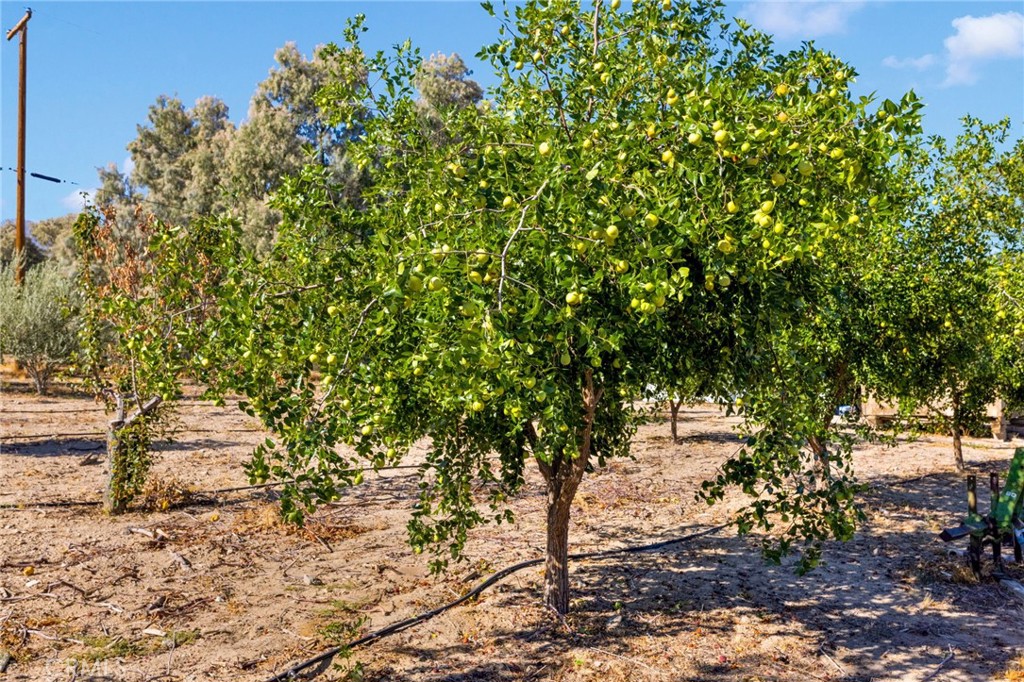 MLS #HD25219024 image #34