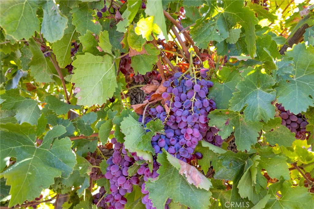 MLS #HD25219024 image #4