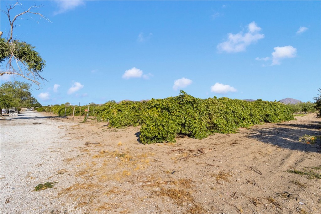 MLS #HD25219024 image #71