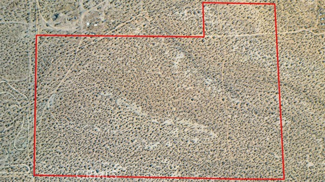 MLS #HD25221640 image #11