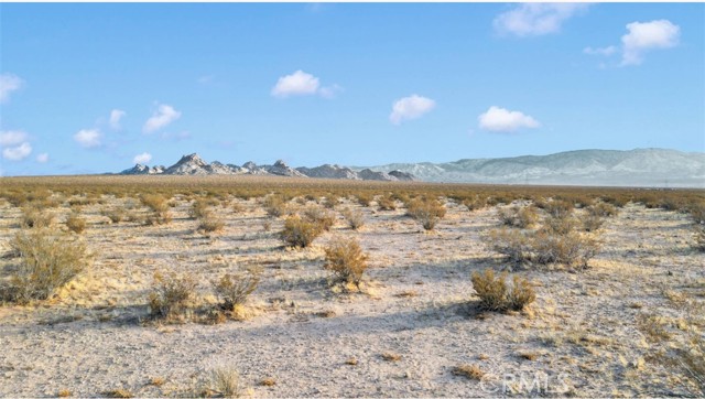 MLS #HD25221640 image #13