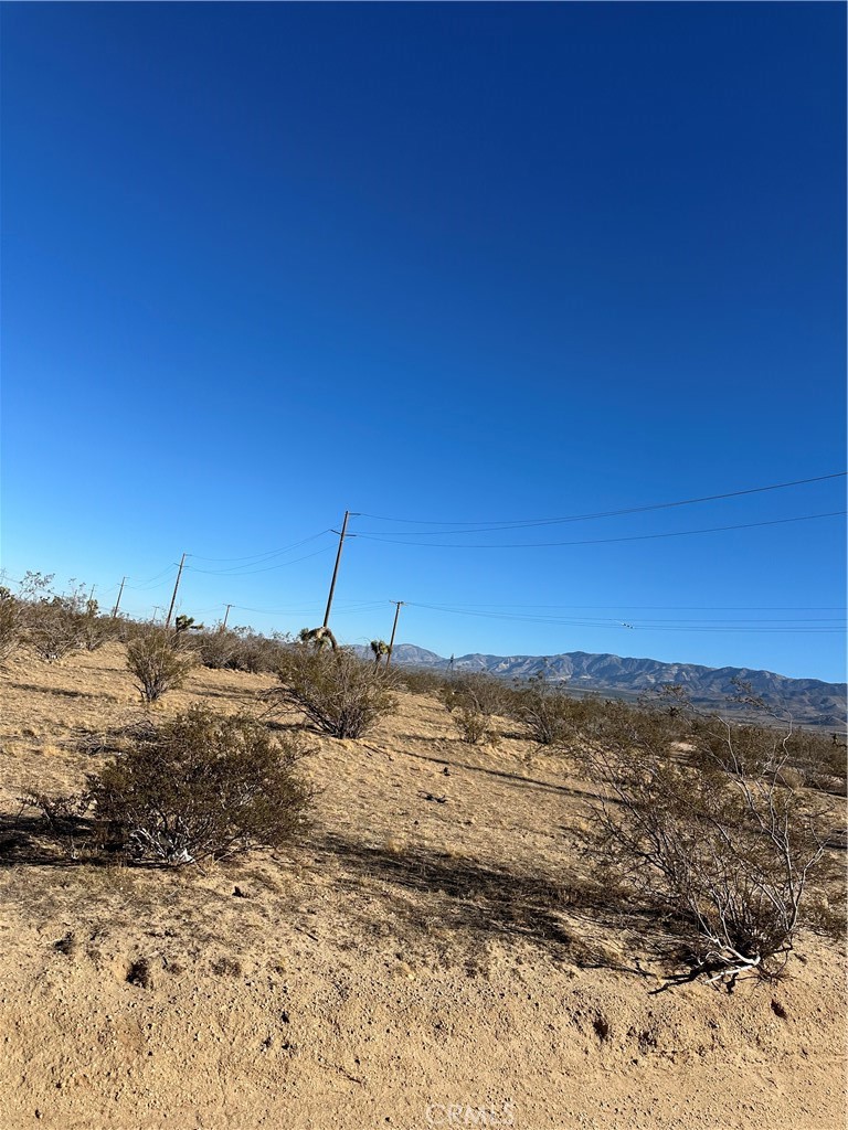 MLS #HD25221655 image #7