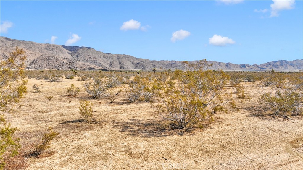 MLS #HD25222443 image #5