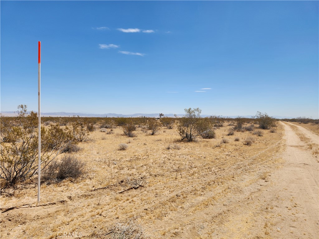 MLS #HD25223497 image #6